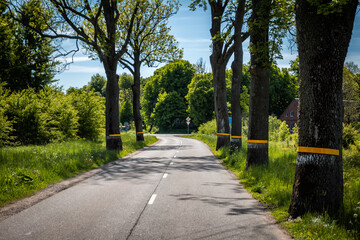 Scenic summer asphalt road through the village