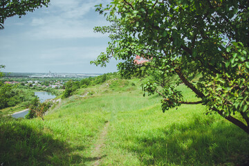 Summer landscape with a view through the branches of a tree on a green hill, a river on the side of a hill, a blue sky and a city in the background. Bright sunny day on the slopes near Ivano-Frankivsk