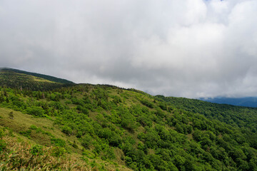 広大な山と森林　秋田県　7月	