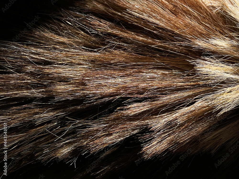 Poster natural fur texture. abstract feather in brown. decorative texture pattern for creative design eleme