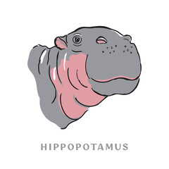 Cute hippopotamus illustration, African animal vector on white background - 443544688