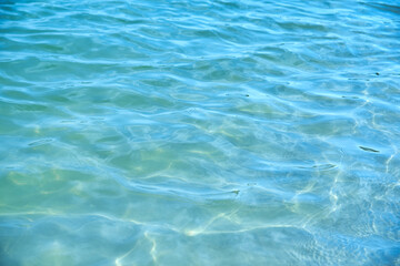 Fototapeta na wymiar Transparent calm sea surface on a sunny day.