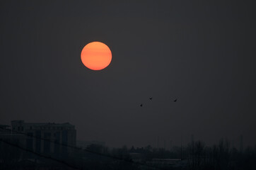 Sunset on a cold autumn day against the background of the city