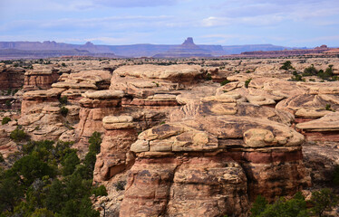 dramatically eroded rock formations and buttes spring canyon along the slickrock trail in the needles district of canyonlands national park, near moab, utah 