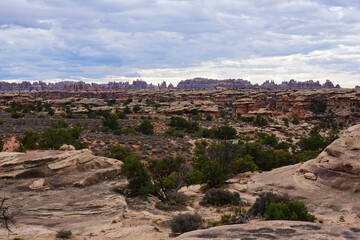 looking out across spring canyon to the dramatically -eroded needles rock formations along the slickrock foot trail in the needles district in canyonlands national park, near moab, utah 