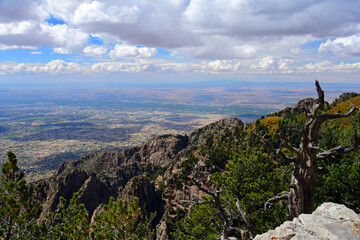 views of granite peaks, evergreens, and changing aspen trees in fall from the top of sandia peak...