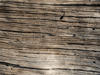 old wood texture with holes