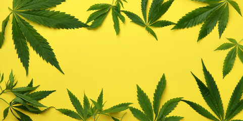 Cannabis leaves on yellow background, space for text