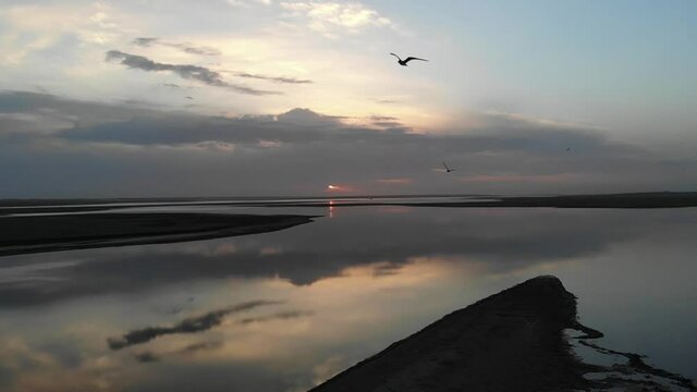 Kalmykia, a lake in the steppe. Seagulls fly over the island. 