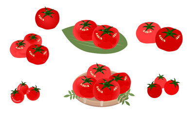 トマトのイラストセット　
