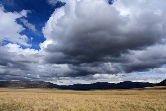 dramatic clouds over the  mountain meadow at valles caldera national preserve, near los alamos, new mexico