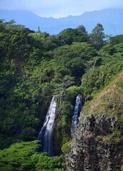 Fototapeta na wymiar the double opaekaa falls in the wailua river state park from the kuamo'o road overlook in kauai. hawaii