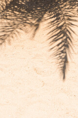 Fototapeta na wymiar Palm tree shadow on a beach vertical background