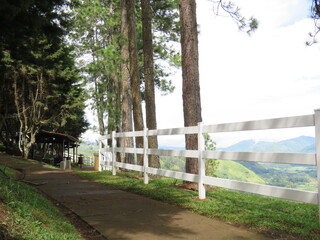 white fence in a park