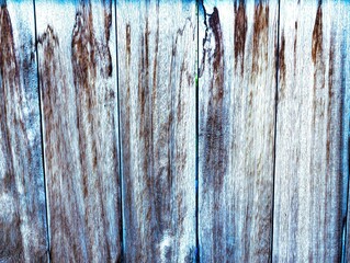 Texture wooden door of a stable