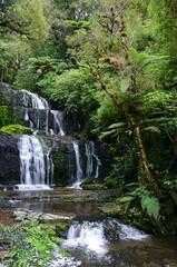 Fototapeta na wymiar pretty purakanui falls in a silver beech and podocarp forest in the catlins coastal region of southland, on the south island of new zealand