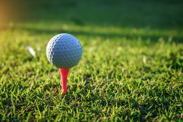 golf ball on tee in a beautiful golf course with morning sunshine