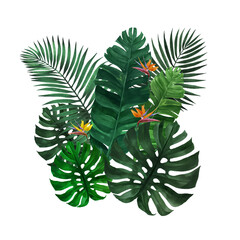 Illustration of palm, monstera and banana tree leaves with exotic flowers. You can use it for your own design.