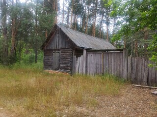 old abandoned house in the woods