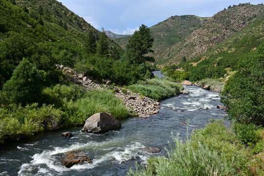 south  platte river rapids and foothills in summer  in waterton canyon, littleton, colorado      
