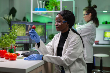 Obraz premium Chemist scientist looking at strawberry with organic liquid examining dna test of fruits for botany experiment. Biochemist working in pharmaceutical laboratory testing health food for medical