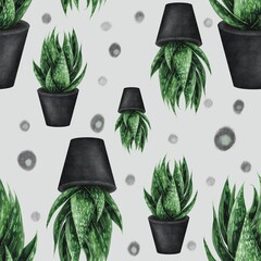Seamless pattern. Cactus in a concrete pot on a white background with dots