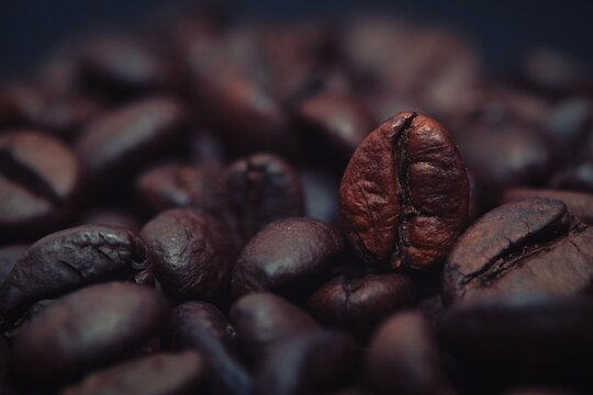 Roasted Coffee beans Closeup shot in studio for background, texture © Hand Robot