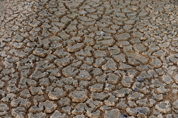 Arid Soil With Cracks, Countryside Of Thailand.