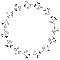 Angelica, frame, border dd ww herb isol