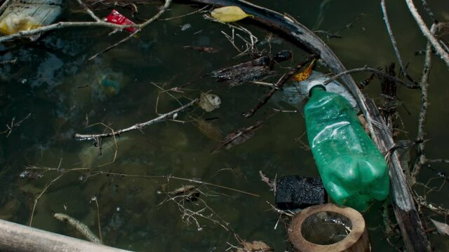 Trash floating on stagnant, polluted water.
