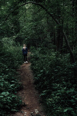 Fototapeta premium hiking in the woods