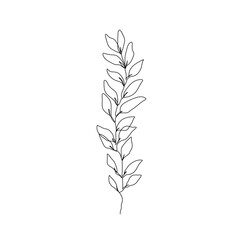 Leaves Branch Line Art Drawing. Floral Minimalist Contour Drawing. One Line llustration. Simple Plant Black Sketch Isolated on White Background. Vector EPS 10