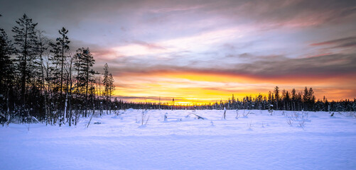 Nature in the Swedish Lapland, northern Sweden