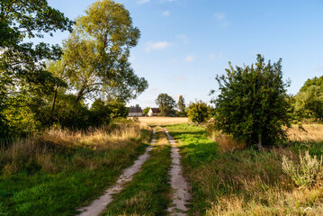 Upalne lato w Dolinie Górnej Narwi. Podlasie, Polska
