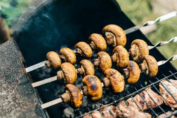  Mushrooms on skewers are fried on charcoal. Barbecue with meat and mushrooms fried on the grill outdoors on back yard.