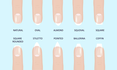 Manicure most popular fashion nail shapes flat style vector illustration set isolated light blue background. Natural, squoval, oval, square rounded, square, almond, stiletto different shapes guidance. © Konstantin