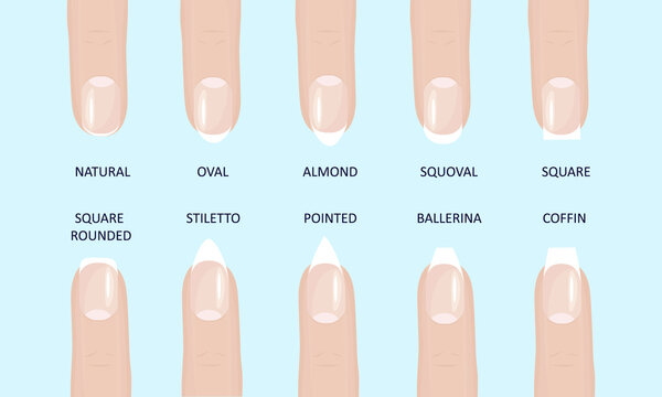 Manicure most popular fashion nail shapes flat style vector illustration set isolated light blue background. Natural, squoval, oval, square rounded, square, almond, stiletto different shapes guidance.