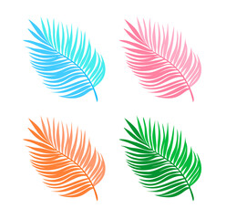 Tropical Palm Leaf collection vector illustration isolated