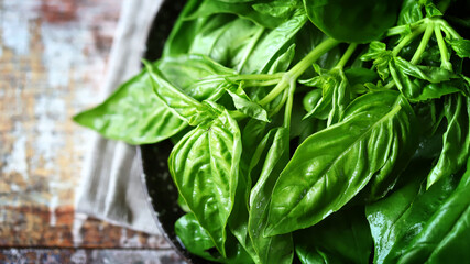 Selective focus. Fresh juicy basil on a plate.