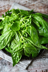 Selective focus. Fresh juicy basil on a plate.