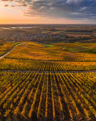 Tokaj, Hungary - Aerial panoramic view of the world famous Hungarian vineyards of Tokaj wine region with town of Tokaj and golden sunrise at background on a warm autumn morning