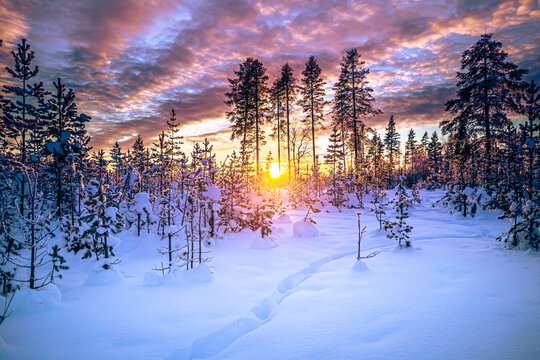 Winter landscape in the Swedish Lapland, Sweden
