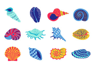 Sea shells. Cartoon tropical underwater clam and marine animal collection, ocean seafood and aquarium decoration. Vector isolated set