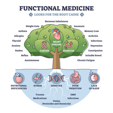 Functional medicine as disease treatment with looks for root cause outline diagram. Tree with cancer, heart disease and diabetes health problem identification and focused help vector illustration.