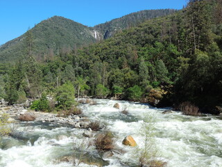 the scenic rapids of merced river and a waterfall on a forested hillside on a sunny spring day at el portal,  near yosemite national park, california - Powered by Adobe