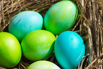 Green and blue eggs in a nest of straw and blue flowers among nature for the Easter holiday