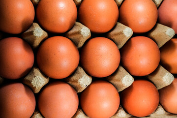 a close up of  a tray of eggs
