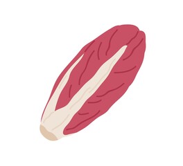 Red-leaf chicory head. Fresh radicchio icon. Endive vegetable. Raw food plant with magenta leaves. Flat vector illustration of natural veggie isolated on white background