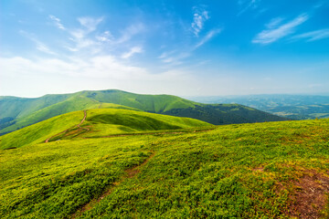 Carpathian mountains range Borzhava, green hills and blue sky, summer nature landscape
