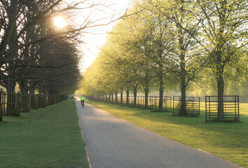 Cyclist training hard on an early morning cycle